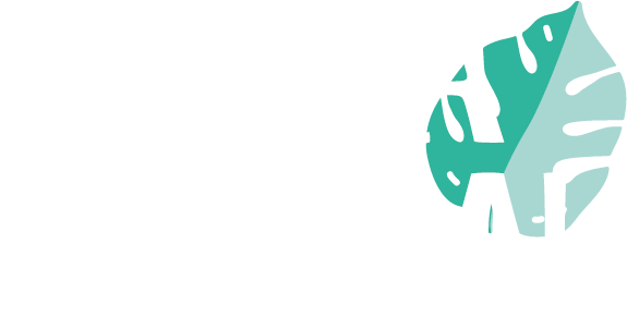 Palma Central