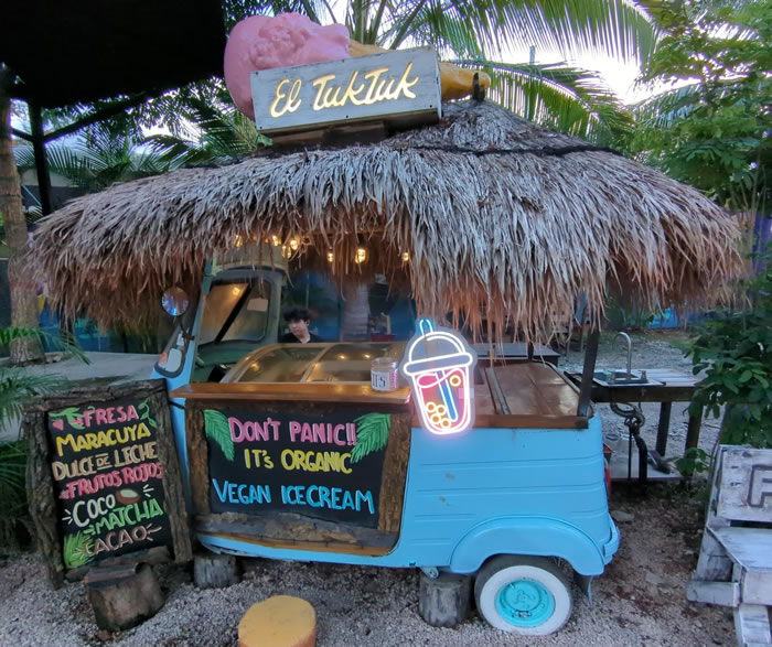 Palma Central Tulum Mexico Best Restaurants ice cream