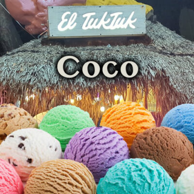 Coco Organic Vegan Ice Cream from El TukTuk food truck restaurant at Palma Central in Tulum Mexico