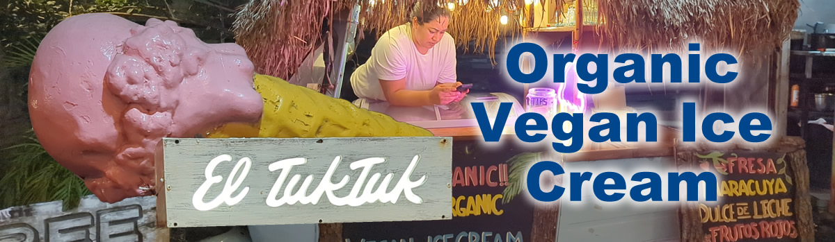 El TukTuk Organic Vegan Ice Cream food truck Mexicos best ice cream at Palma Central in Tulum