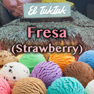 Fresa Organic Vegan Ice Cream from El TukTuk food truck restaurant at Palma Central in Tulum Mexico